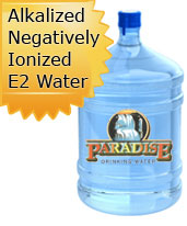 Alkalized, Negatively Ionized E2 Water